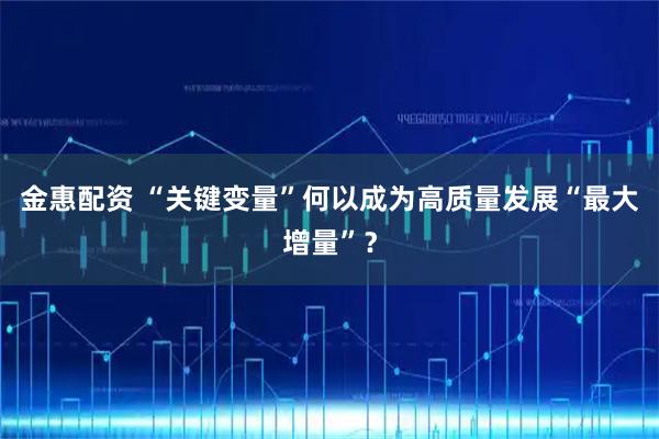 金惠配资 “关键变量”何以成为高质量发展“最大增量”？
