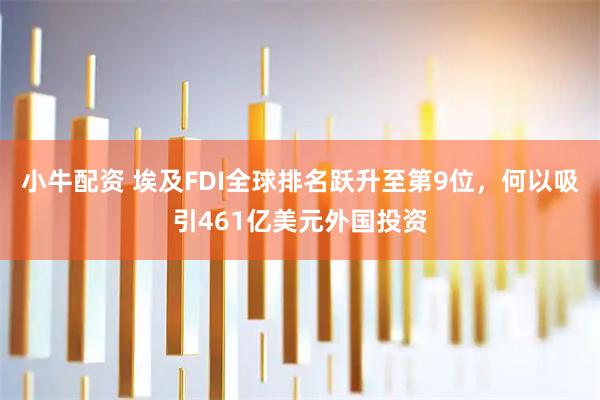 小牛配资 埃及FDI全球排名跃升至第9位，何以吸引461亿美元外国投资