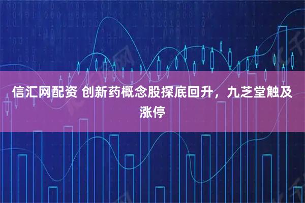 信汇网配资 创新药概念股探底回升，九芝堂触及涨停