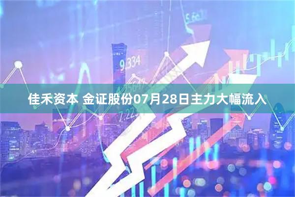佳禾资本 金证股份07月28日主力大幅流入