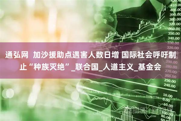 通弘网  加沙援助点遇害人数日增 国际社会呼吁制止“种族灭绝”_联合国_人道主义_基金会